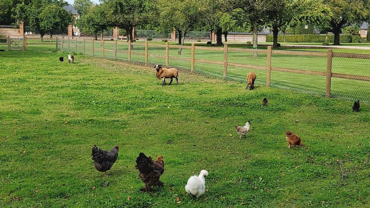 Photo of Others in Cottevrard