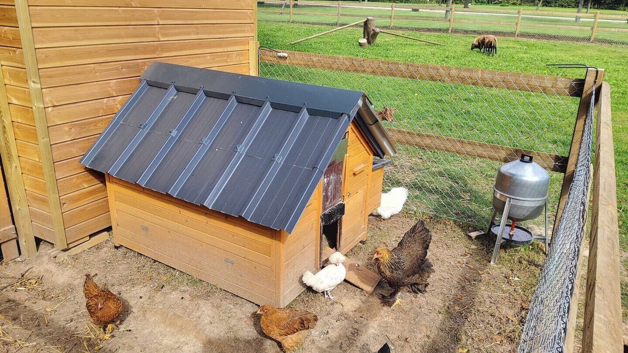 Photo of Outdoor in Cottevrard