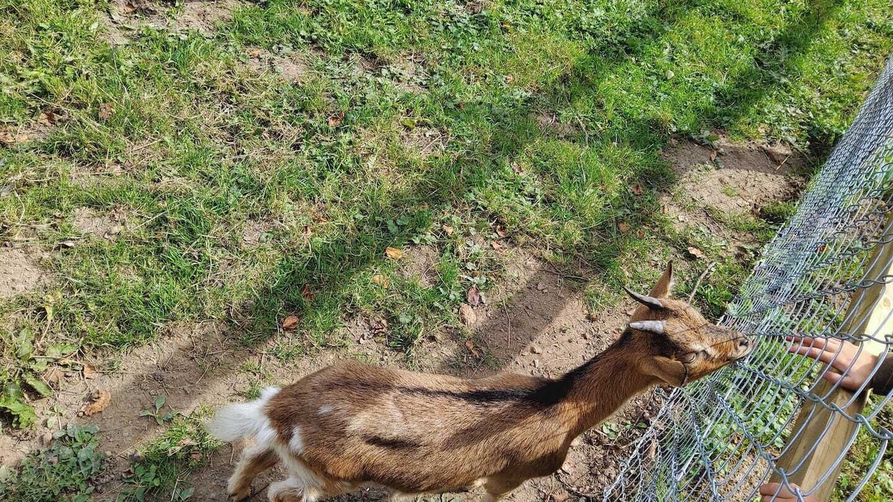 Photo of Others in Cottevrard