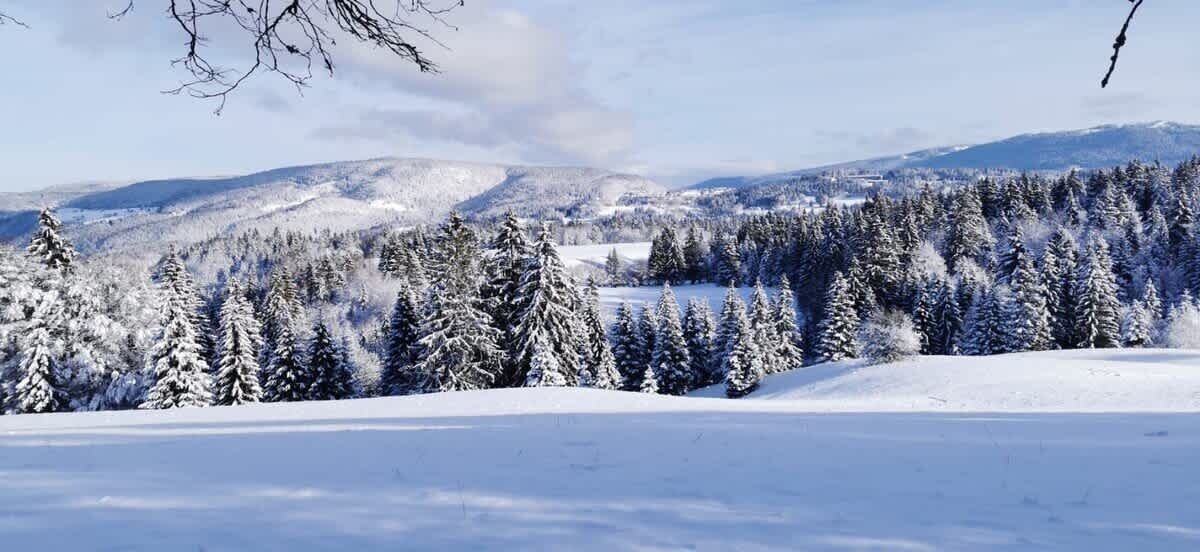 Photo of Others in Premanon