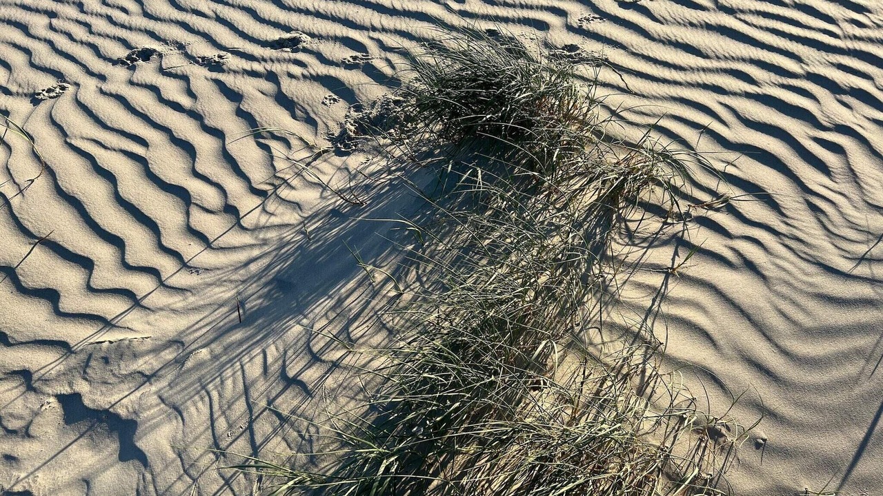 Photo of Others in Rindby Strand