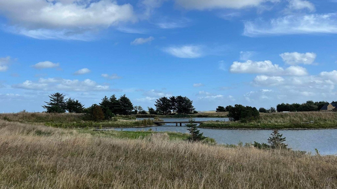 Photo of Others in Rindby Strand