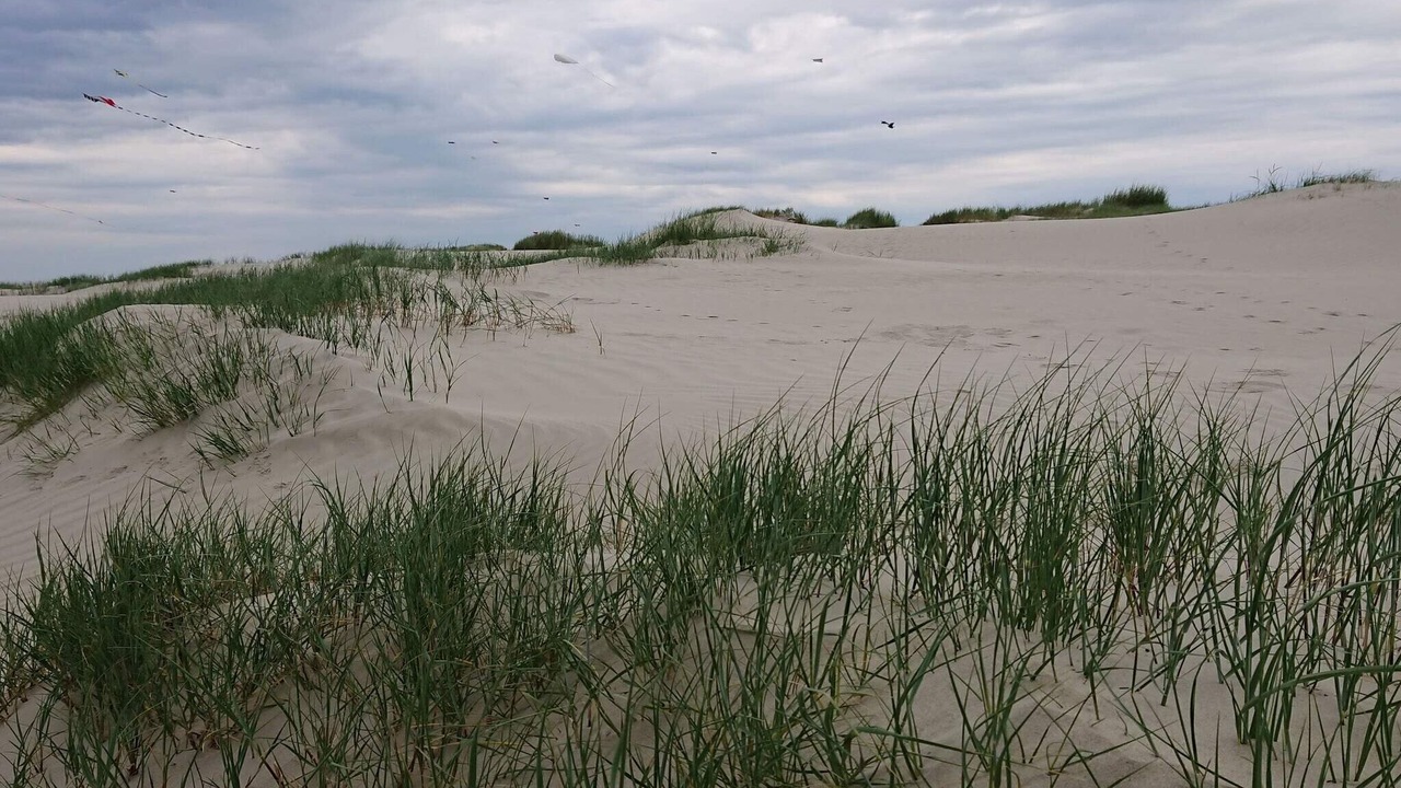Photo of Others in Rindby Strand