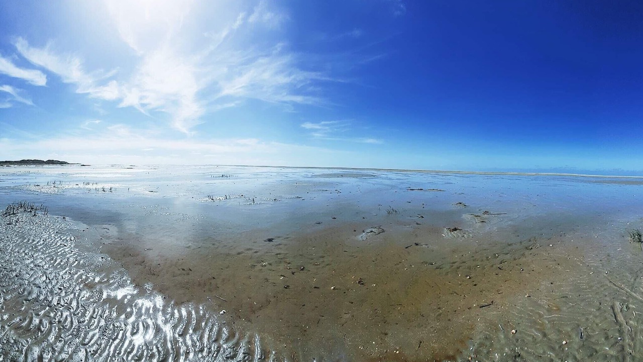 Photo of Others in Rindby Strand