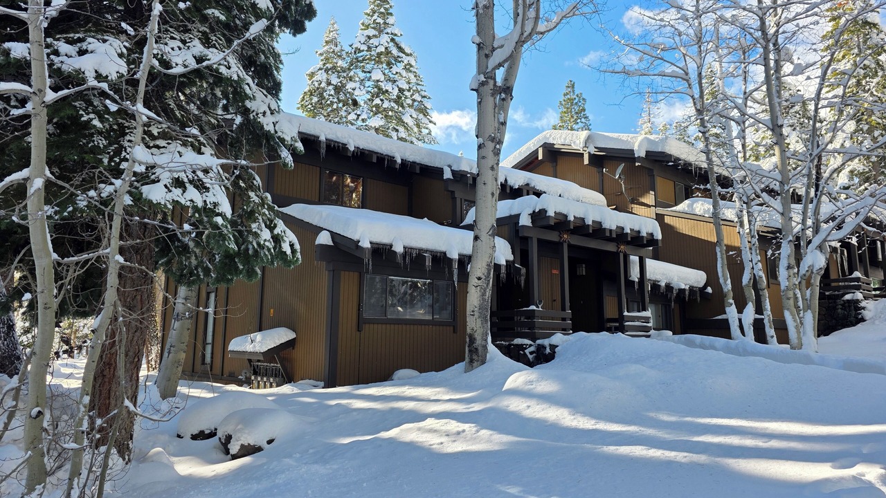 Photo of Outdoor in Tahoe City