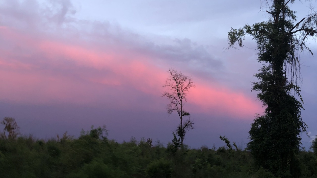 Photo of Outdoor in Fort White