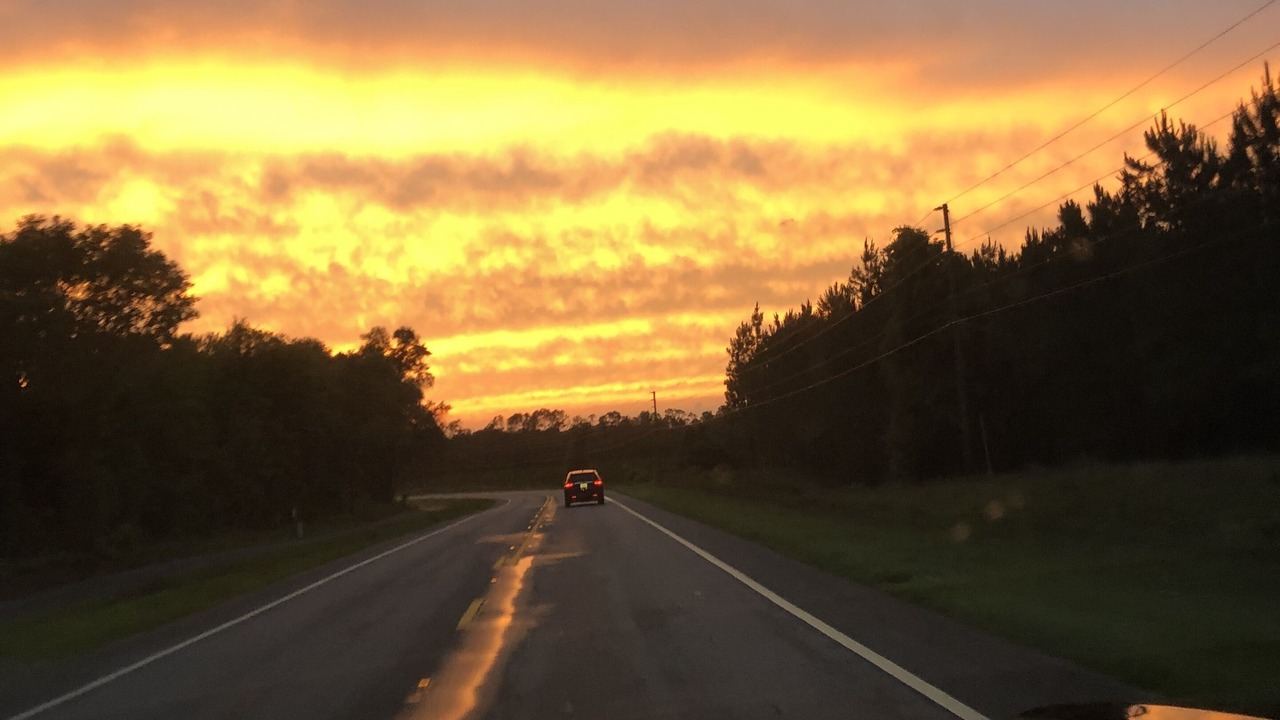 Photo of Others in Fort White