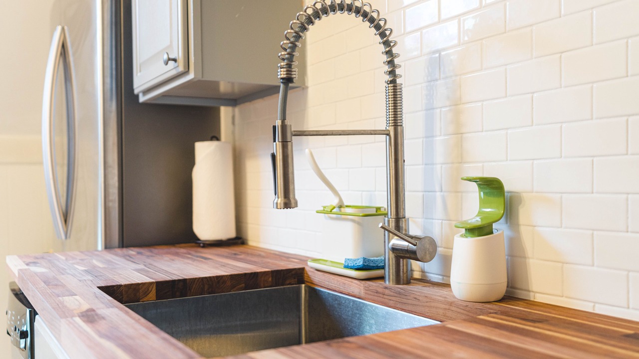 Photo of Others in Back Cove