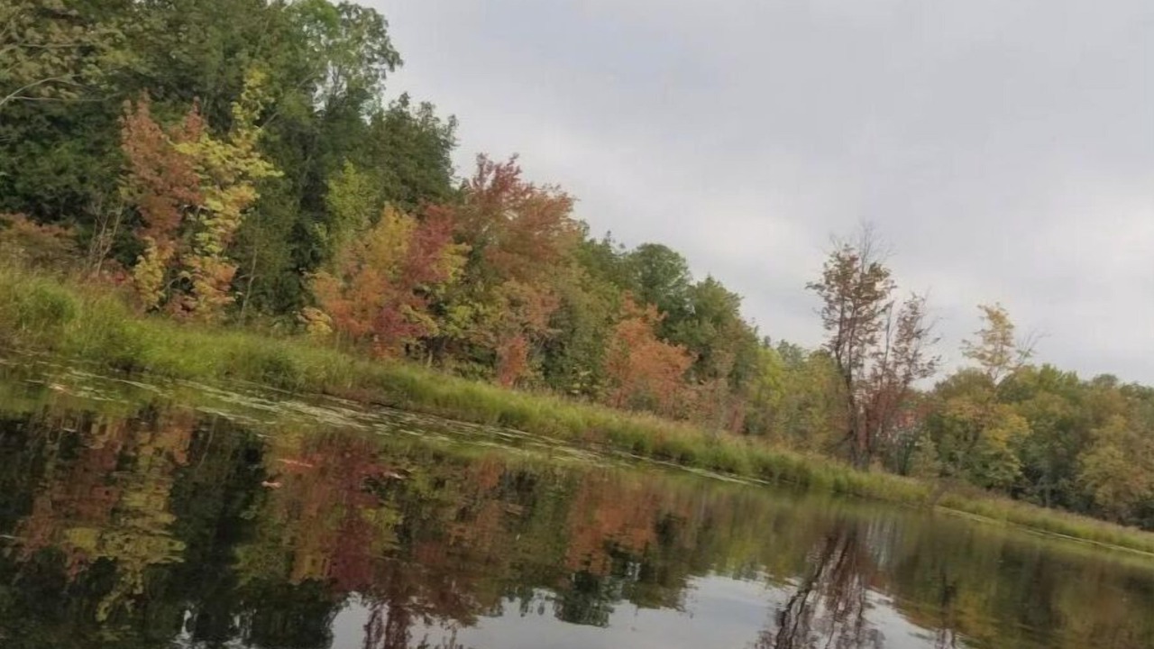 Photo of Others in Tyendinaga