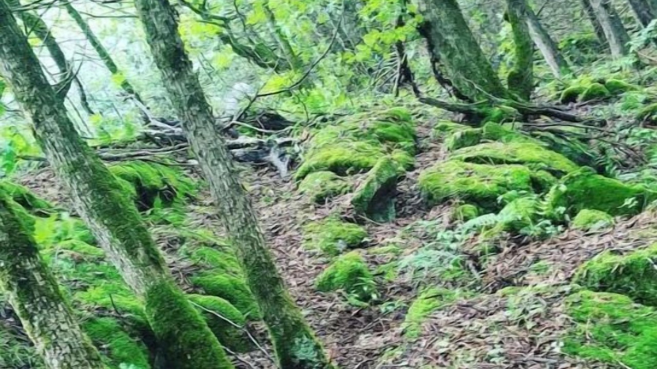 Photo of Others in Tyendinaga