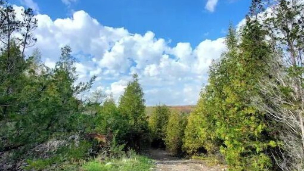 Photo of Others in Tyendinaga