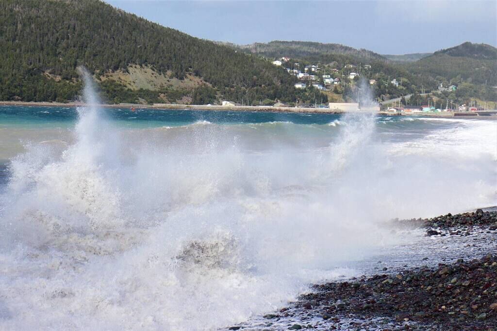 Photo of Others in Placentia