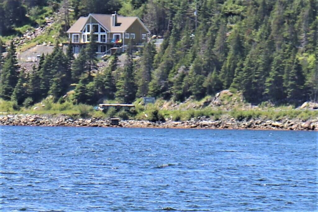 Photo of Others in Placentia