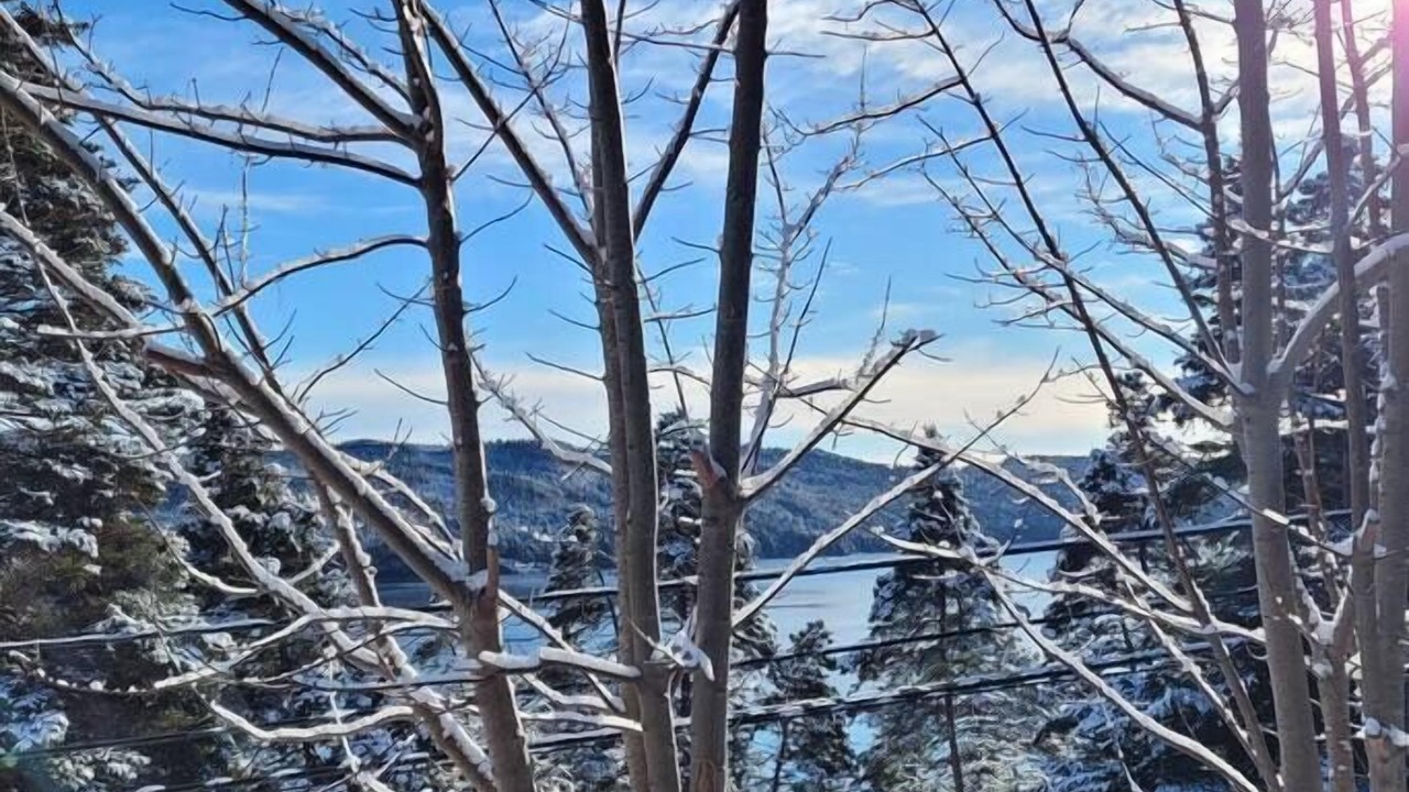 Photo of Others in Placentia