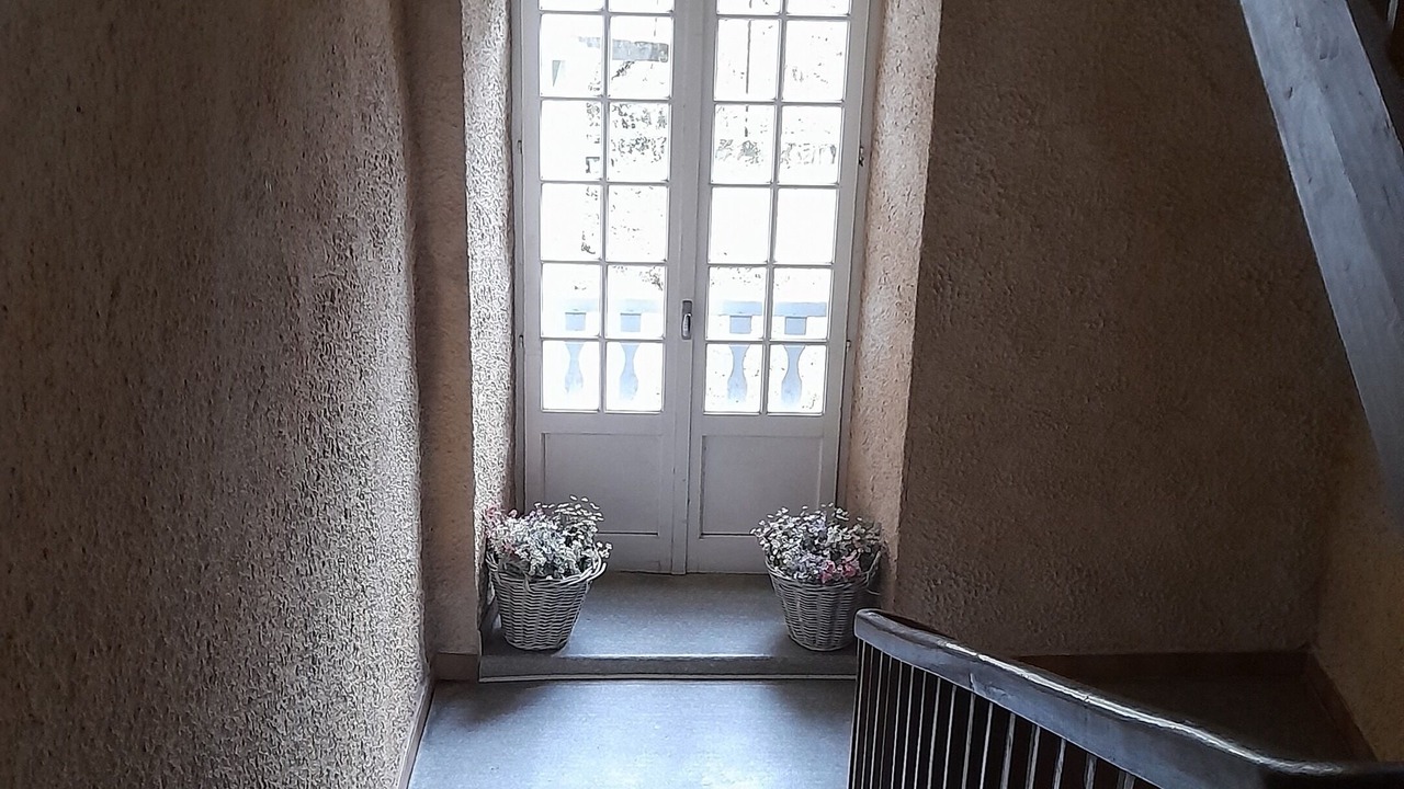 Photo of Others in Mirepoix