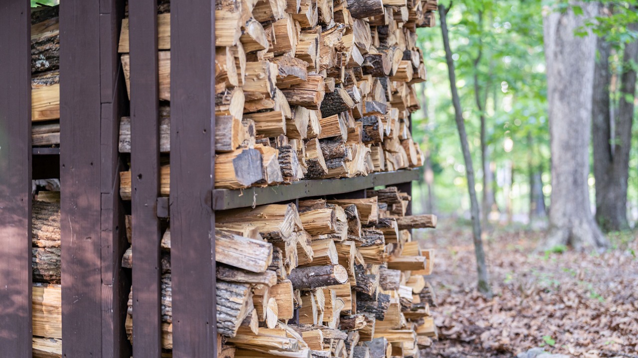 Photo of Outdoor in The Woods