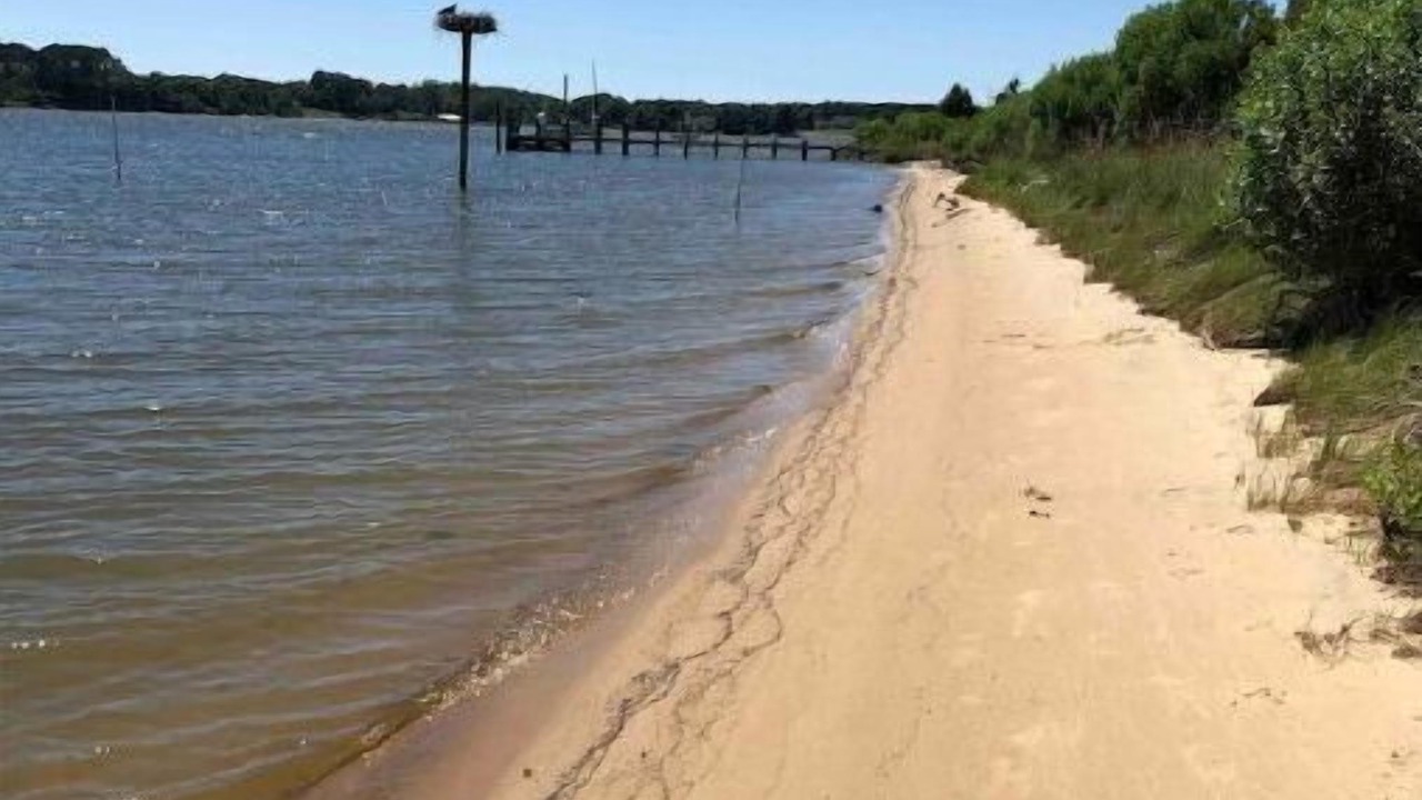 Photo of Others in Reedville