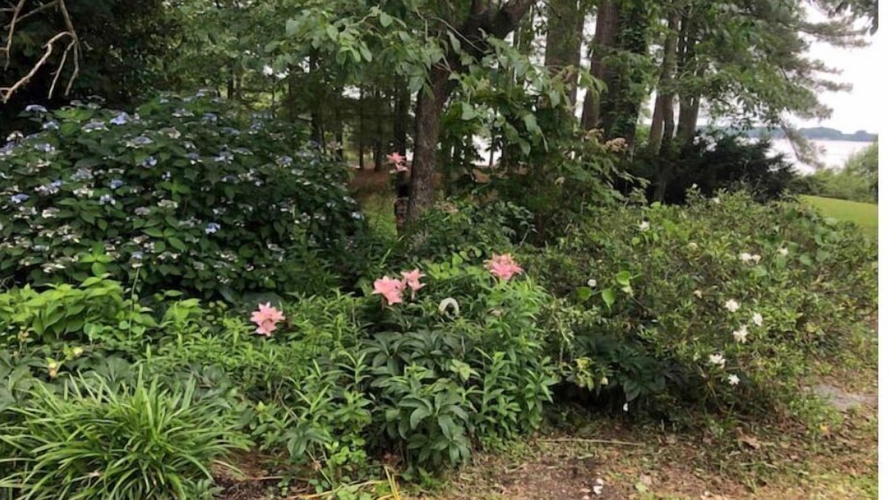 Photo of Outdoor in Reedville