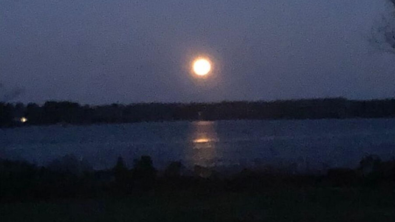 Photo of Others in Reedville