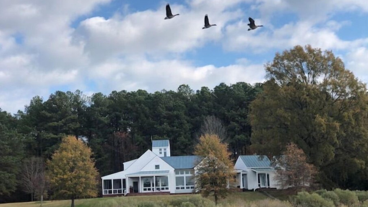 Photo of Outdoor in Reedville