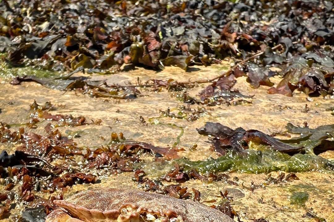 Photo of Others in Lancaster