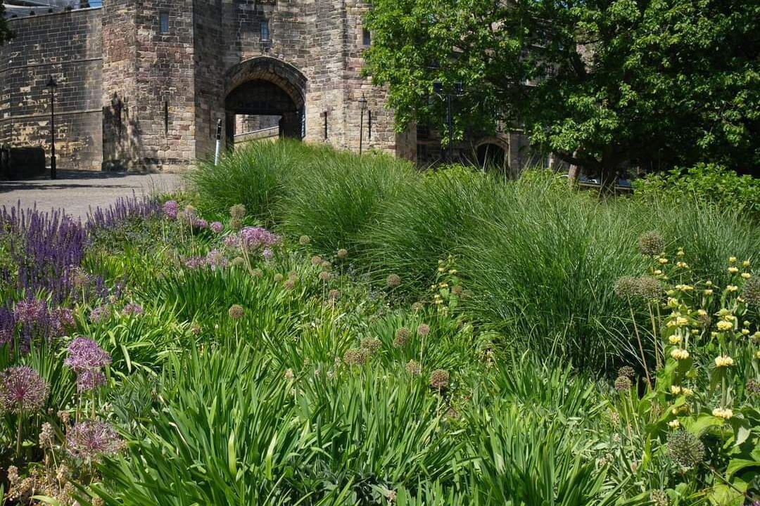 Photo of Others in Lancaster