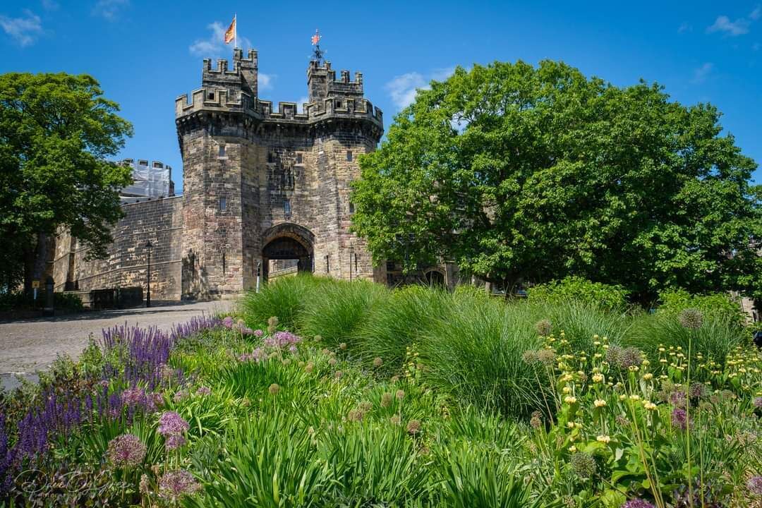 Photo of Others in Lancaster