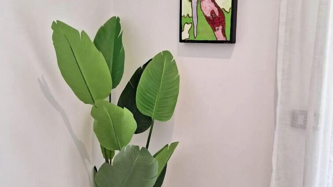 Photo of Others in Las Terrenas