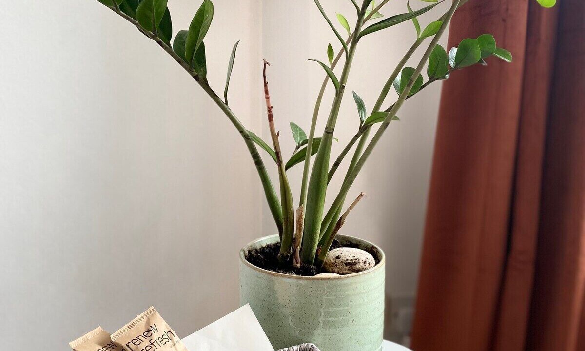 Photo of Others in Cleveland