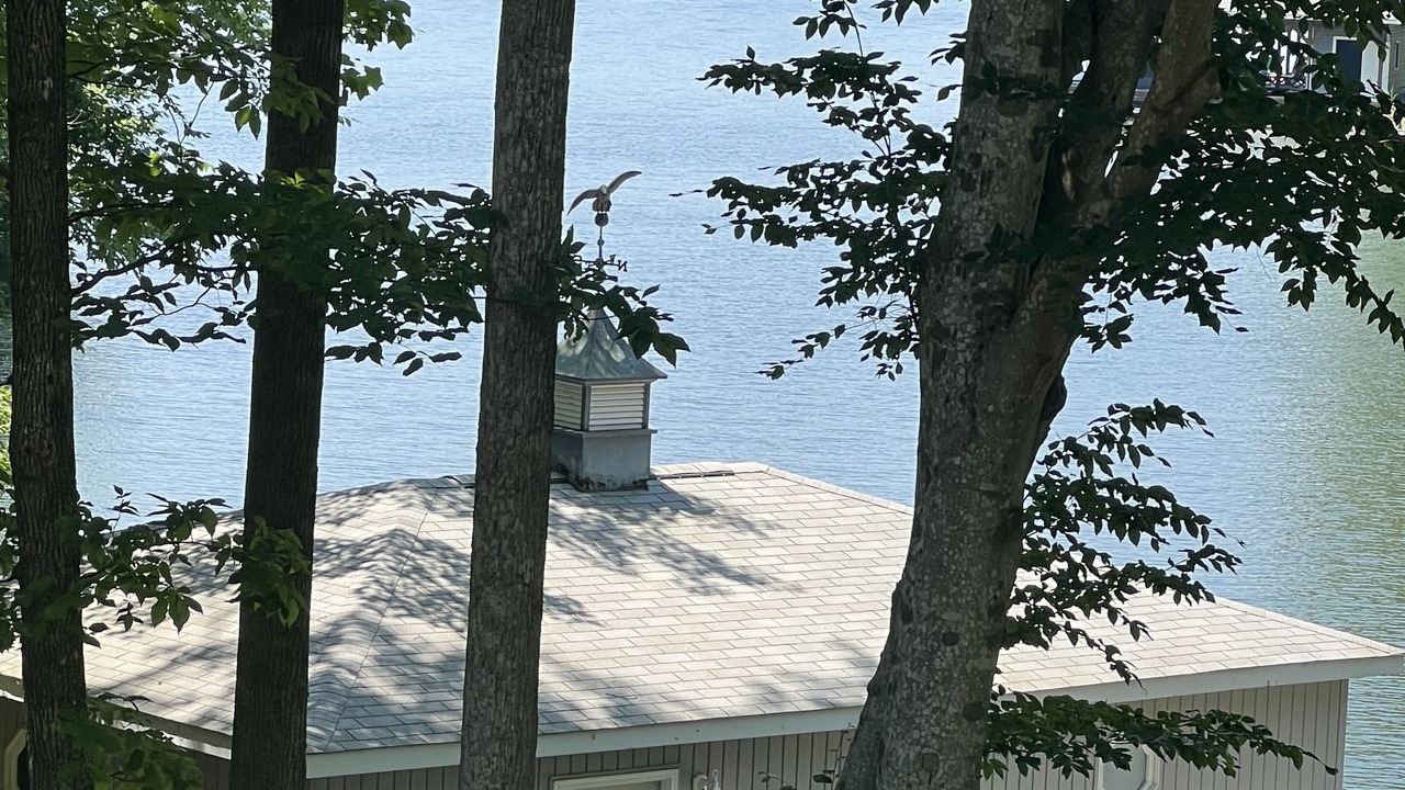 Photo of Outdoor in Livingston