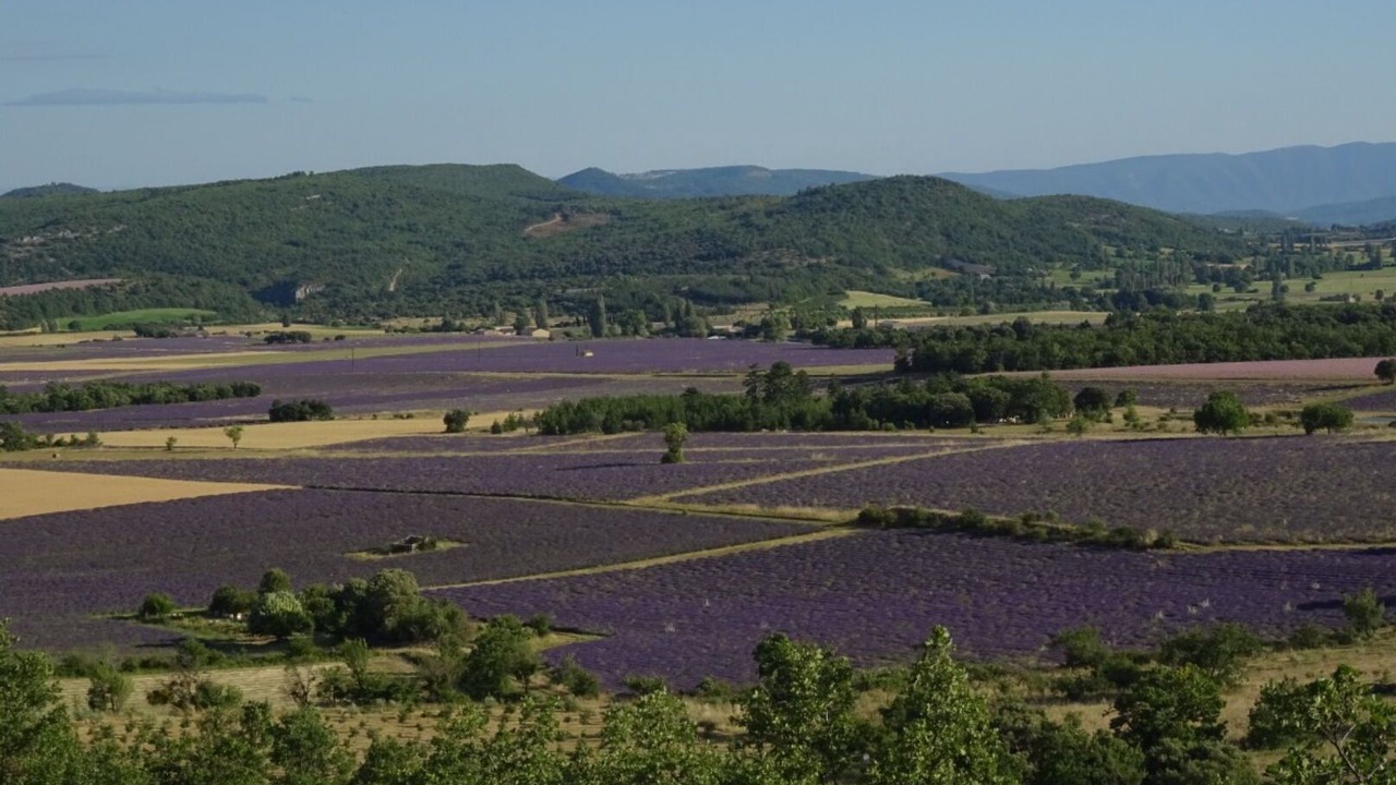 Photo of Others in La Rochegiron