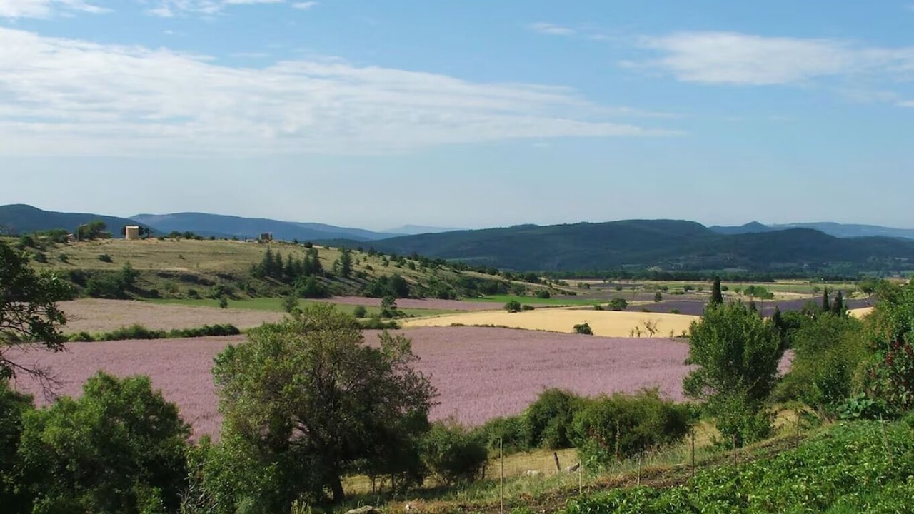 Photo of Others in La Rochegiron