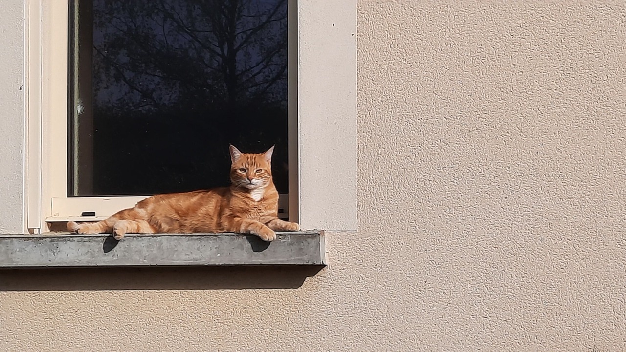 Photo of Others in Orbigny-au-Mont