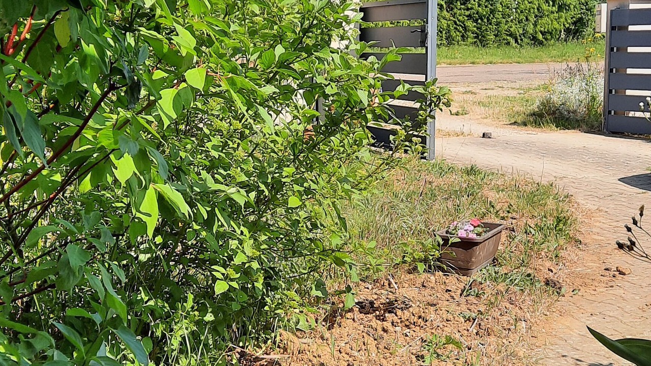 Photo of Outdoor in Orbigny-au-Mont