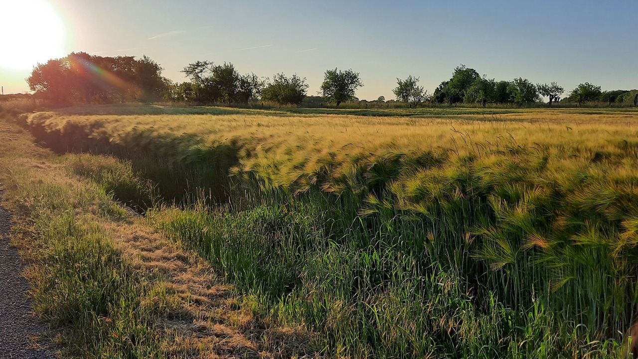Photo of Outdoor in Orbigny-au-Mont