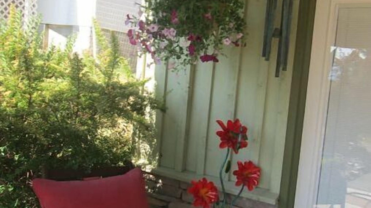 Photo of Outdoor in Bayview