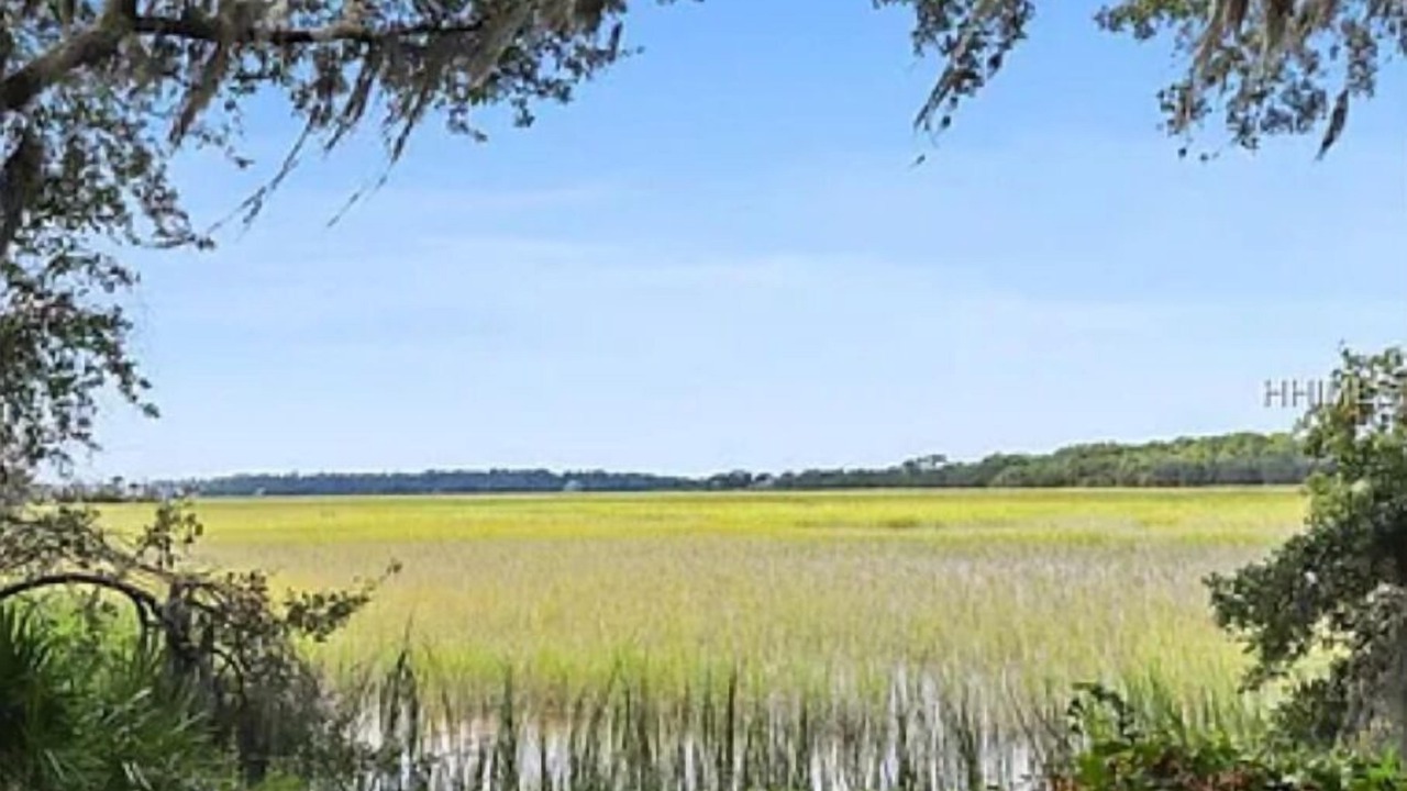 Photo of Outdoor in Palmetto Dunes
