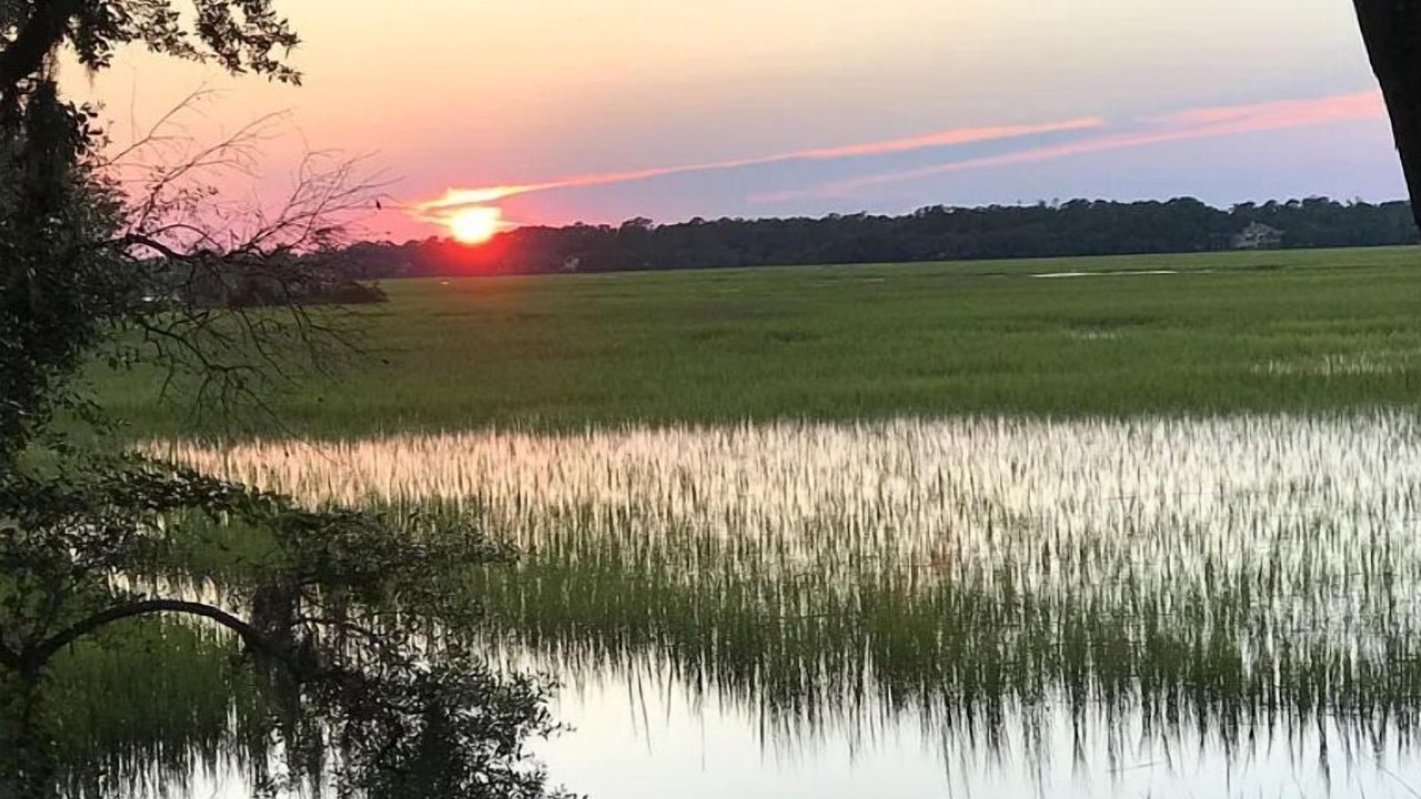 Photo of Outdoor in Palmetto Dunes