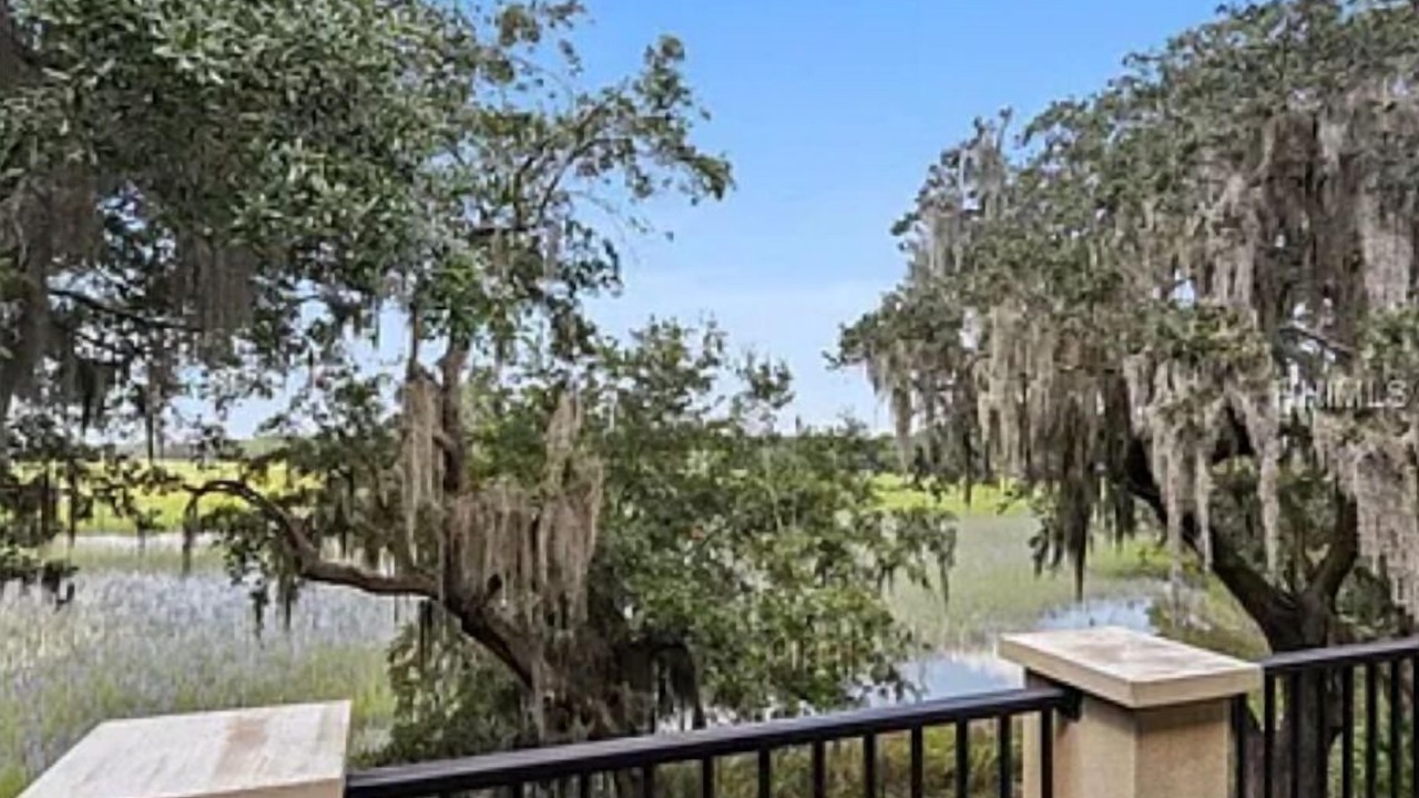 Photo of Outdoor in Palmetto Dunes