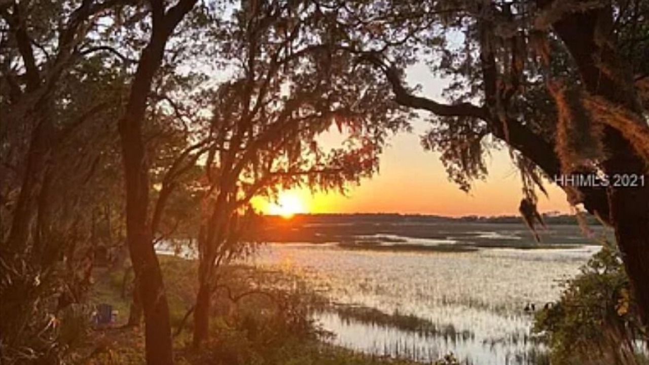 Photo of Outdoor in Palmetto Dunes