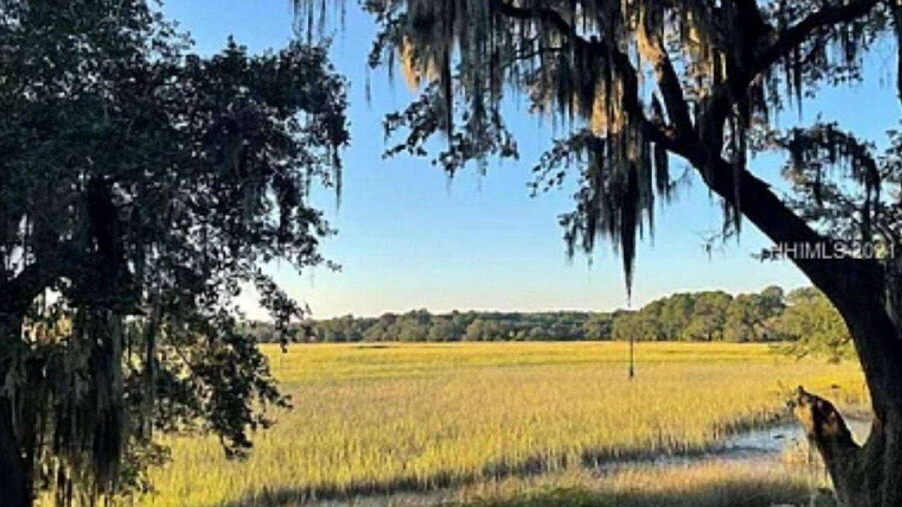 Photo of Others in Palmetto Dunes