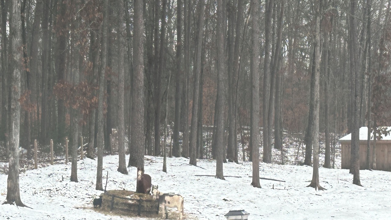 Photo of Others in White