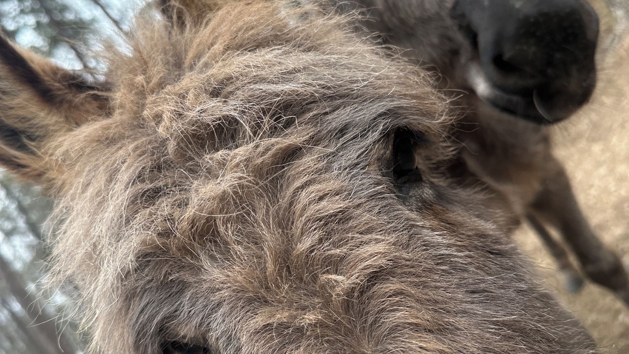 Photo of Others in White