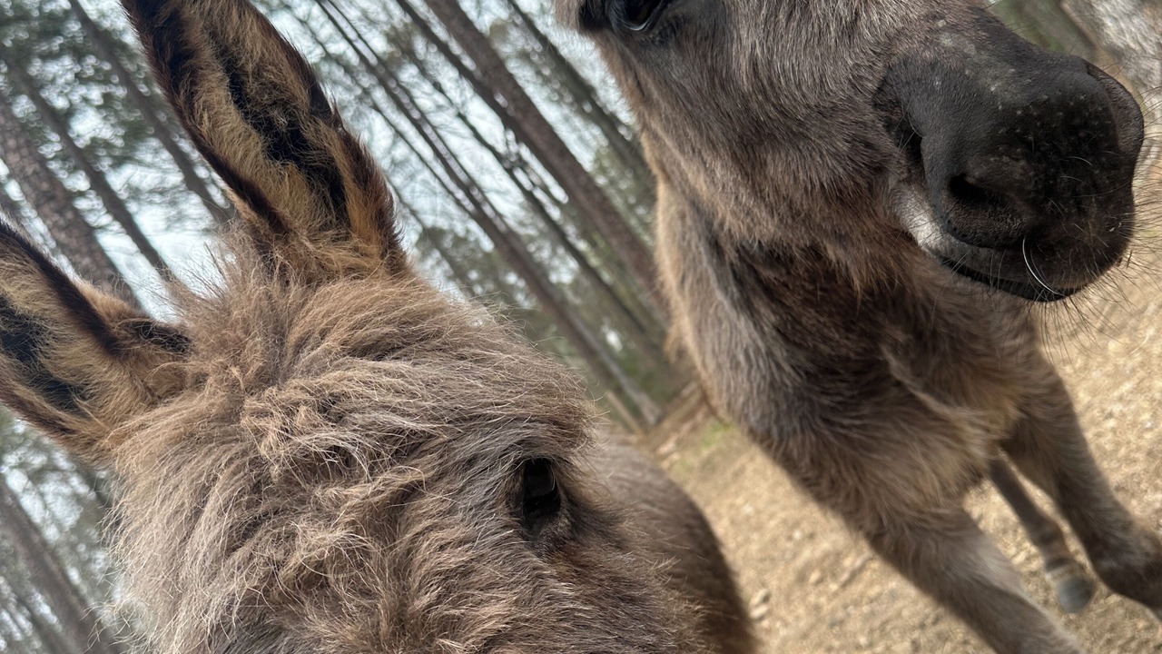 Photo of Others in White