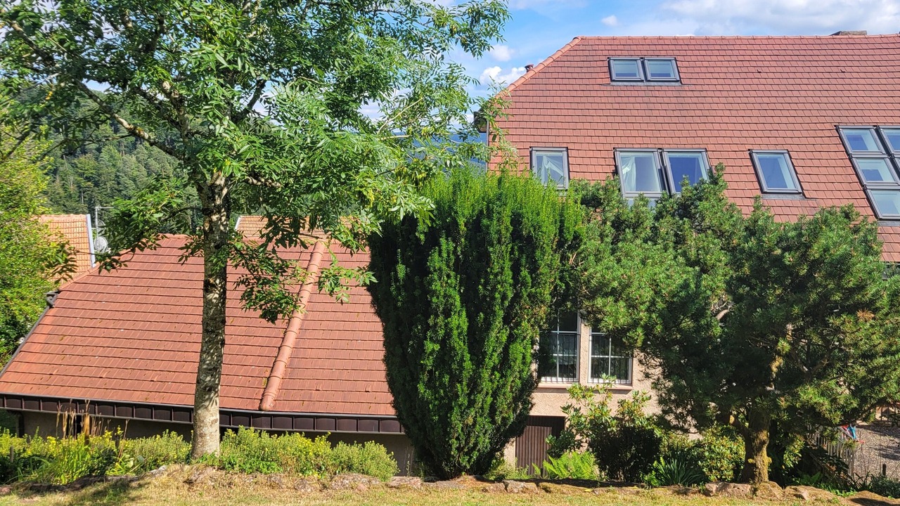 Photo of Outdoor in Haselbourg