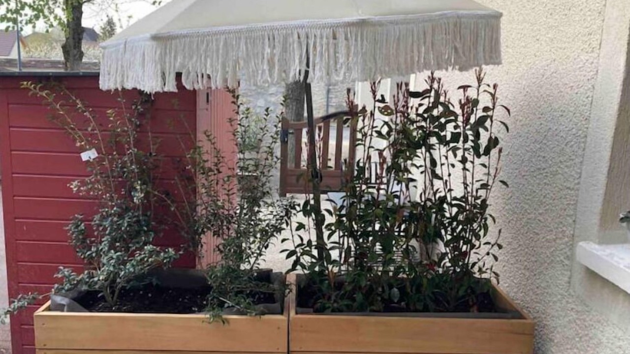 Photo of Outdoor in Milly-la-Foret
