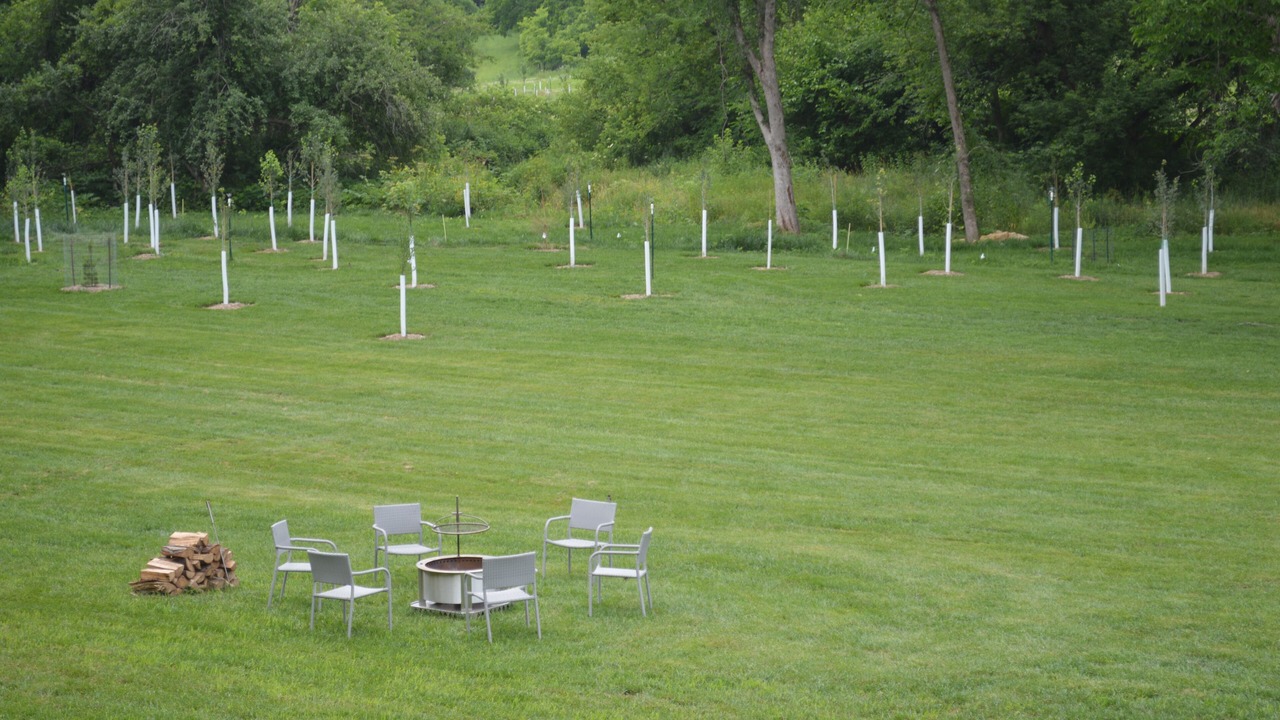 Photo of Outdoor in Ferryville