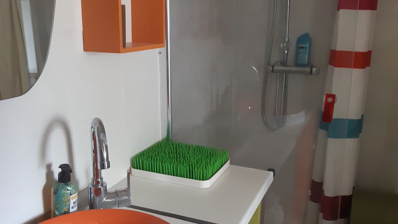 Photo of Bathroom in Sete