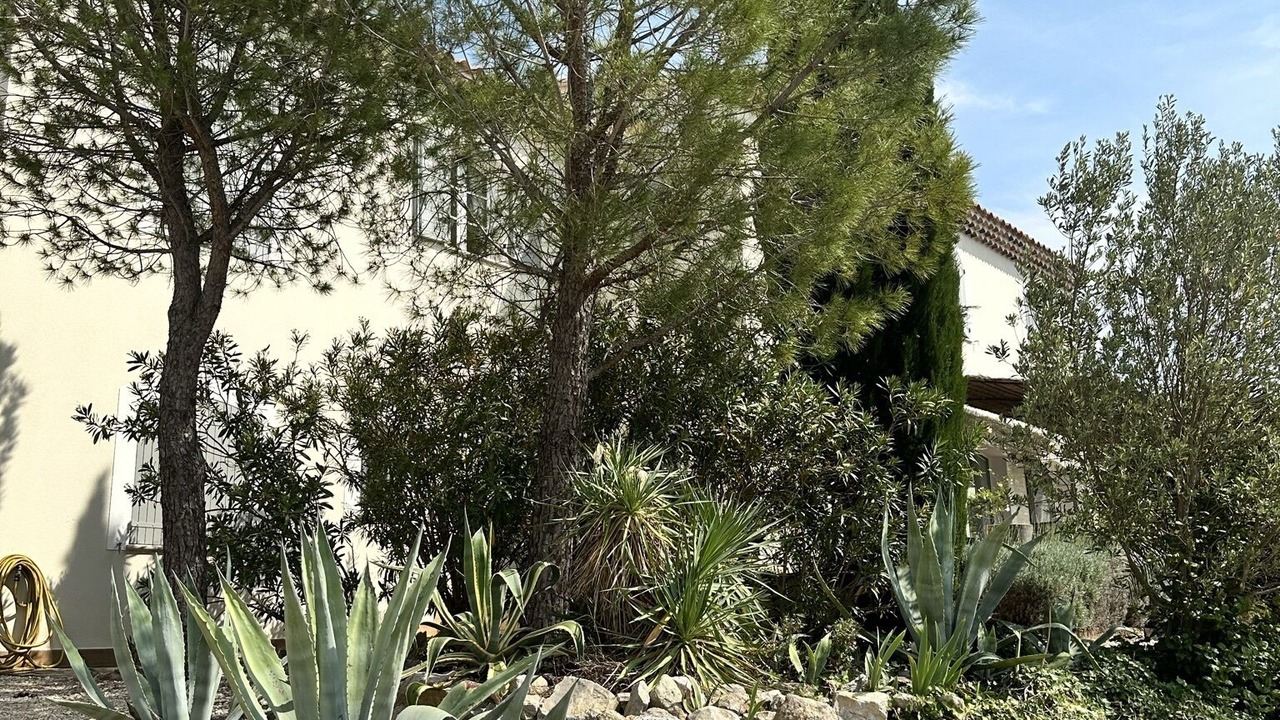 Photo of Outdoor in Theziers