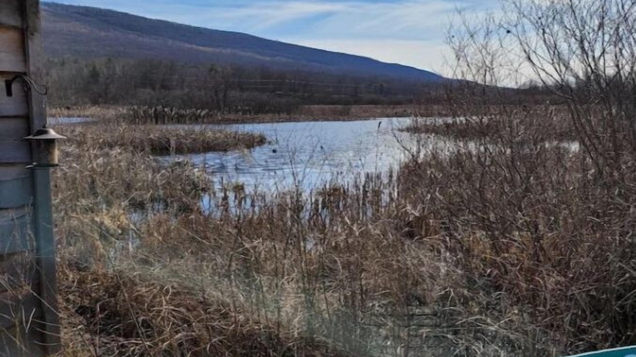 Photo of Others in Fleming